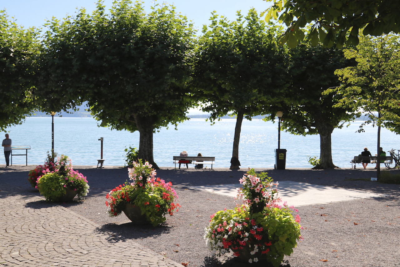 flowers-in-zug-copy
